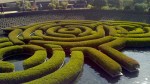 Getty Maze