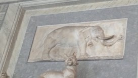 DefCore Elephant Cycle