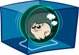 hamster
